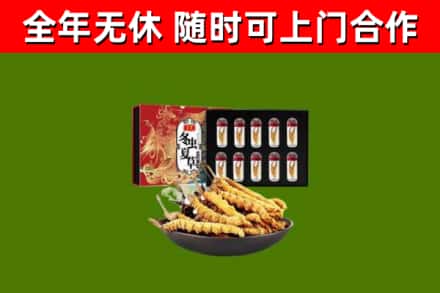 盐山回收冬虫夏草价格