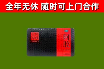 盐山回收阿胶