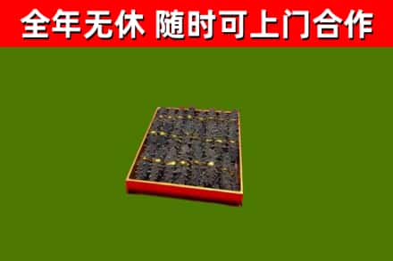 盐山回收海参